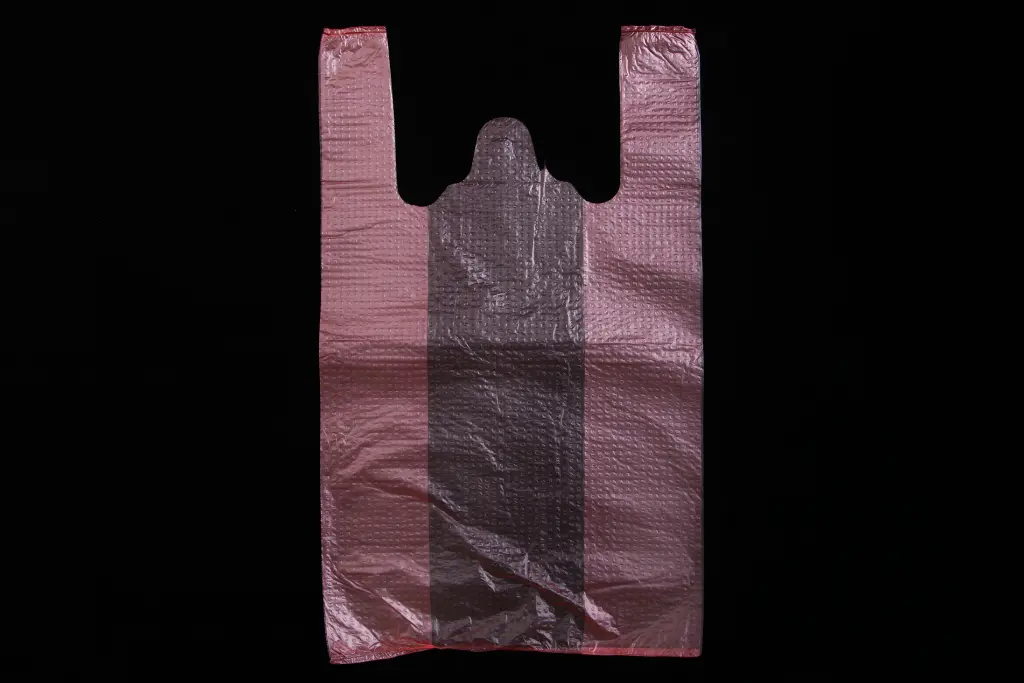 пакет майка (240+70*2)*430 мм 10 мкм (180 шт.). Photo 2